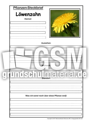 Pflanzensteckbrief-Löwenzahn.pdf